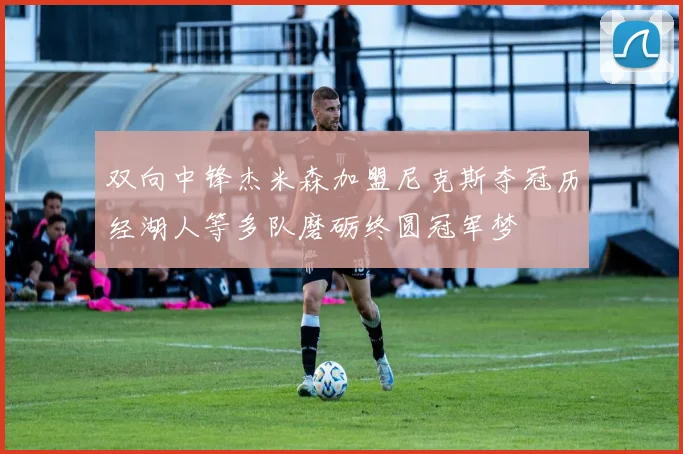 双向中锋杰米森加盟尼克斯夺冠历经湖人等多队磨砺终圆冠军梦